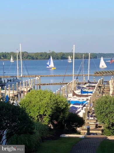 315A Red Head Way unit 61, Havre de Grace, MD 21078 - photo 2