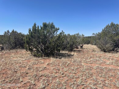 31767 W Rancho Vista Ln, Seligman, AZ 86337 - photo 2