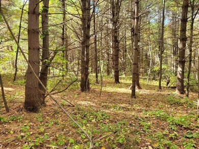 RR Stickney Hill Rd, Union, CT 06076 - photo 2