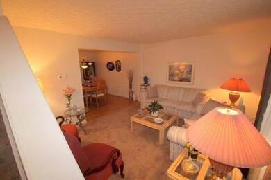 1071 Cherry Bud Living Room2
