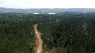 TBD the Plantation Rd, Kirby, AR 71950 - photo 5