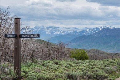 timpanogas circle