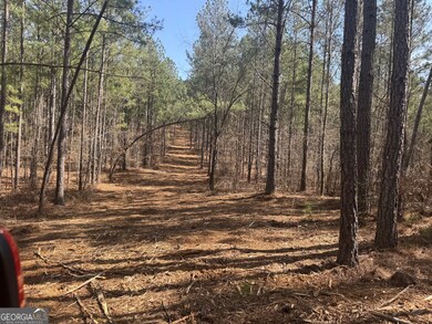 0 Faulkner Rd unit LOT 4 10468618, Monticello, GA 31064 - photo 4