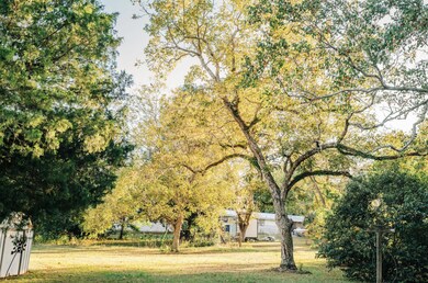 23186 Dewight Stone Ave, Florala, AL 36442 - photo 7