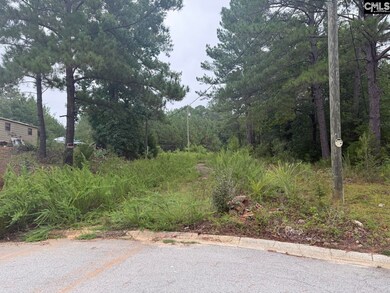 6 Heron Ct, Columbia, SC 29203 - photo 2