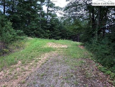Lot 212 Casey Mountain Rd, Purlear, NC 28665 - photo 6