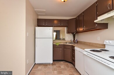 5203 Creek Ln, King George, VA 22485 - photo 5