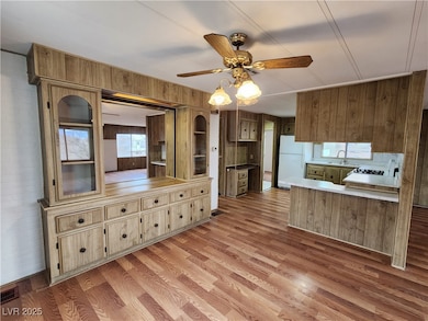 1111 Hardy Ln unit B - Back, Pahrump, NV 89048 - photo 3