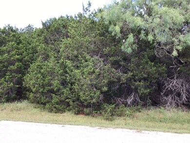 18170 Wildwood Dr, Whitney, TX 76692 - photo 3