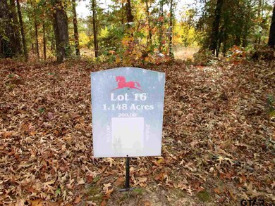 2085 Equestrian Ln, Tyler, TX 75703 - photo 2