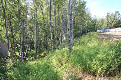 Birch