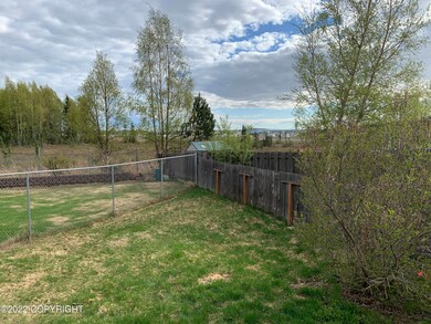 Back yard