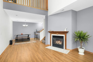 Gas Fire place