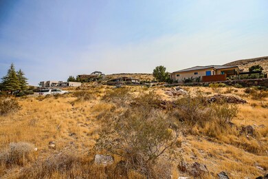 IMG_7393