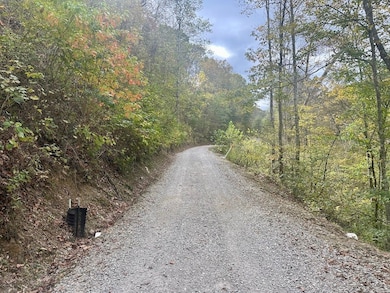 50 Sweet Grape Run Rd, Walton, WV 25286 - photo 2