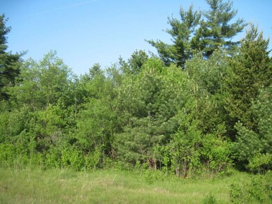 Lot 2 11th Ave, Arkdale, WI 54613 - photo 4