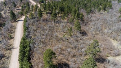 TBD Lot 1A Welcome Way, Spearfish, SD 57783 - photo 4
