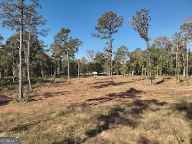 285 Lower Simmons Rd, Macon, GA 31220 - photo 7