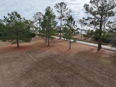 2ACR Lewis Rd, Cairo, GA 39828 - photo 6