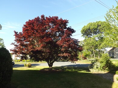 DSCF3697