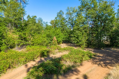 0 17 Acres In Lakehead unit 25-4070, Lakehead, CA 96051 - photo 6