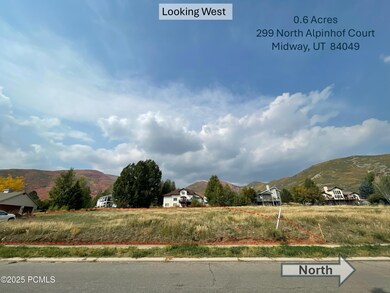 1080 N Alpenhof Ct unit 5, Midway, UT 84049 - photo 5