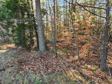 19 White Mountain Hwy, Wakefield, NH 03872 - photo 5