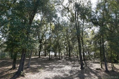 Lot has been cleared of the underbrush