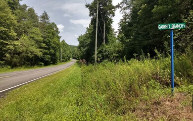 3.01 Doublehead Gap Rd, Ellijay, GA 30536 - photo 2
