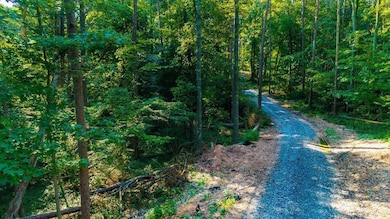 0 Old Lower River Rd NW unit 20253533, Charleston, TN 37310 - photo 3