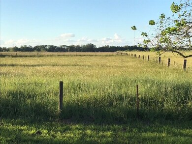5910 County Road 392, Alvin, TX 77511 - photo 2