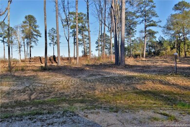 0 Sophie Ln unit Lot 36 CN164366, Dry Prong, LA 71423 - photo 6