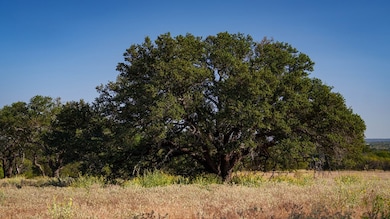 6748 S Hwy 87, Mason, TX 76856 - photo 6