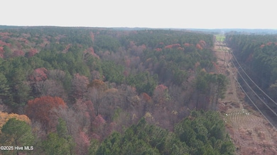 0 Lick Creek Rd unit 100542417, Sanford, NC 27330 - photo 4