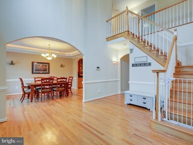 121 Boydton Plank Dr, Stephens City, VA 22655 - photo 6