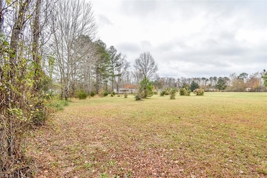 11525 Tucker Swamp Rd, Zuni, VA 23898 - photo 4