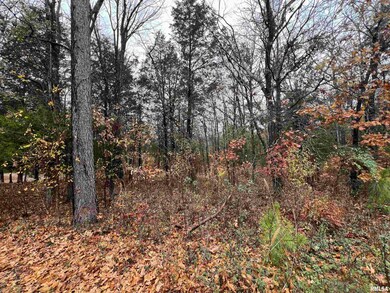 unlisted-address, Goreville, IL 62939 - photo 4