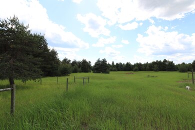 Meadow