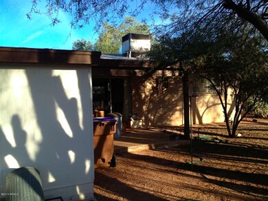 Lots of shade in back