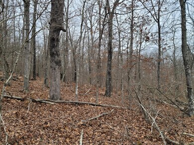 000 Ledgewood Rd, Cabool, MO 65689 - photo 3