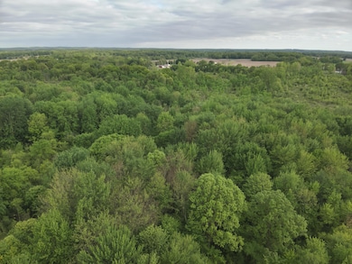 DJI_20250520064704_0019_V