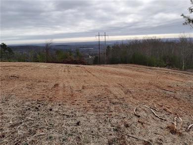 0 Mountain Ridge Dr unit 7628449, Clarkesville, GA 30523 - photo 5