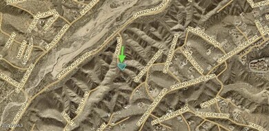 543 Paula Ct unit 69, Rio Rico, AZ 85648 - photo 2