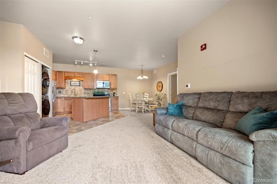 7212 S Blackhawk St unit 1103, Englewood, CO 80112 - photo 5