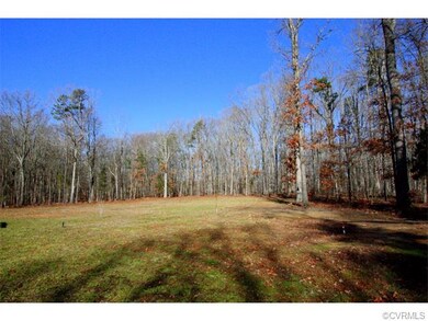 View of the backyard.