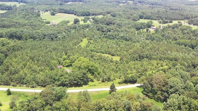 1757 Pickens Hwy, Walhalla, SC 29691 - photo 4