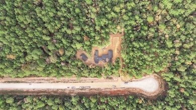 134 Splendid Rd, New Waverly, TX 77358 - photo 3