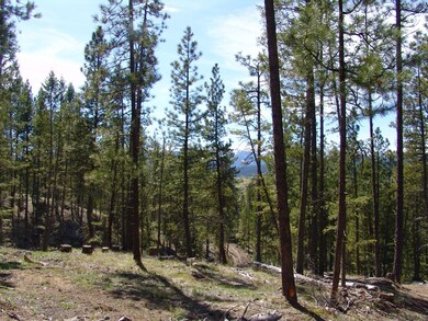 Sloped & Wooded Terrain