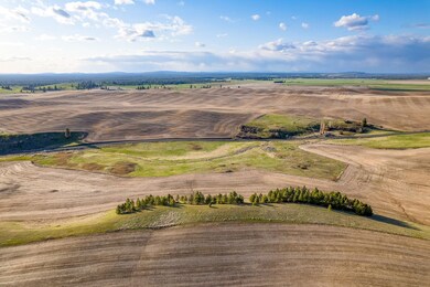 Lot 2 Nka Cheney Spangle Rd unit Parcel  32085.9041, Spangle, WA 99031 - photo 5