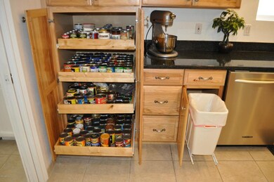 Pull out Cabinet